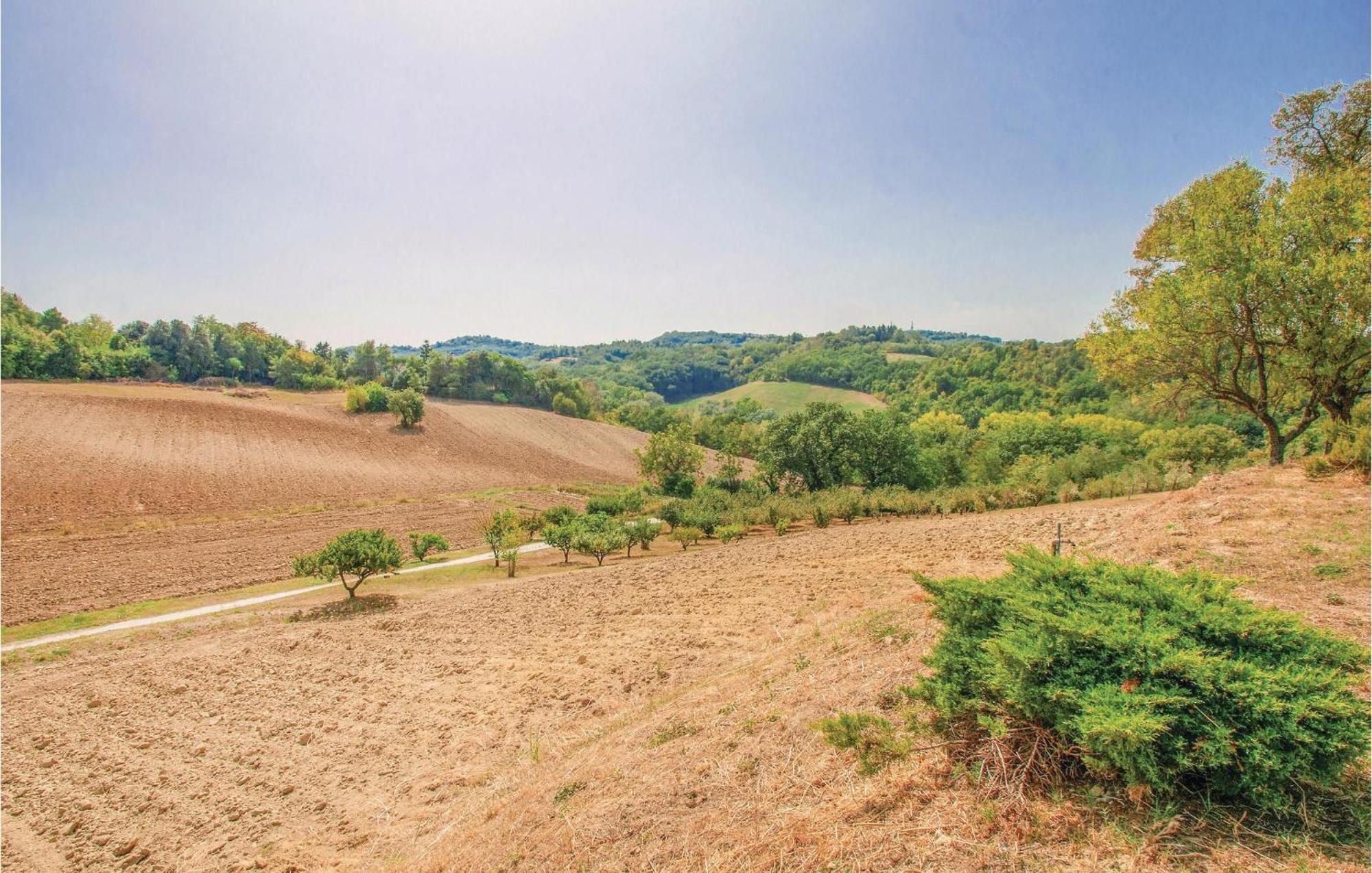 Strada Dei Condotti Pesaro