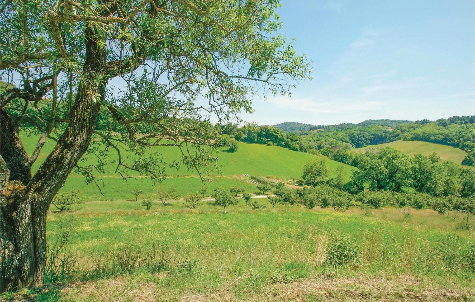 Strada Dei Condotti Pesaro